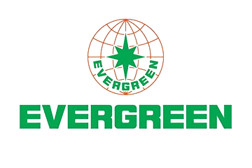 Evergreen